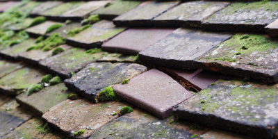 New Mills roof repair costs